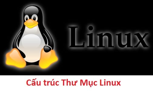 cau truc cay thu muc Linux